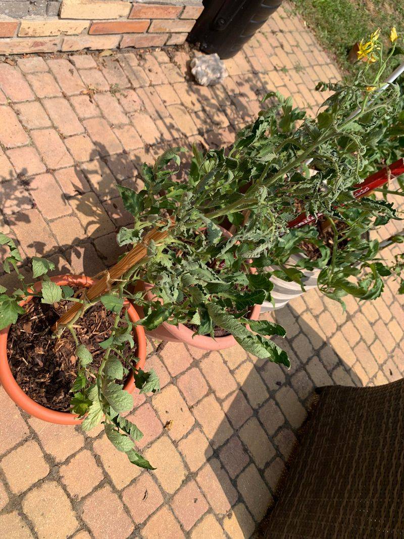 Beside Concrete Walls