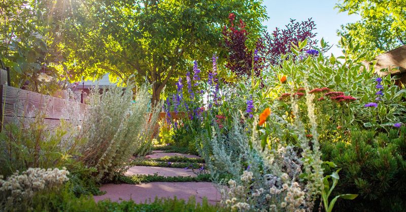 Sacrifice Beauty for Function