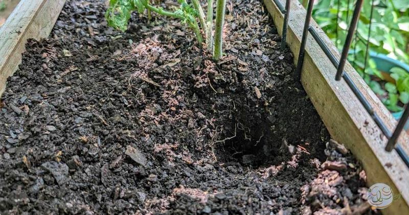 Wreaking Havoc on Garden Beds