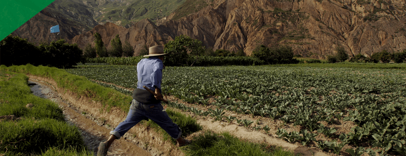 Ancient Farmers Used Phenology Before Science Named It