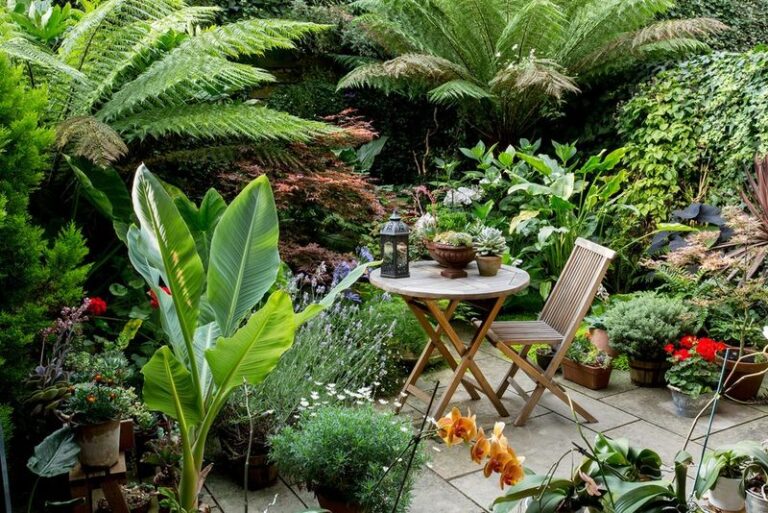 Grow a Jungle in Your Backyard! – How to Create a Mini-Forest Using the ...