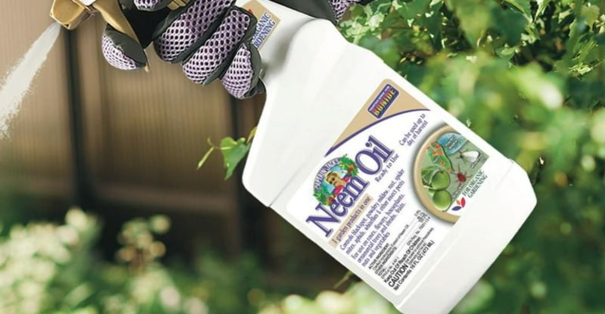 Household items like vinegar and garlic spray arranged on a garden bench in Louisiana backyard
