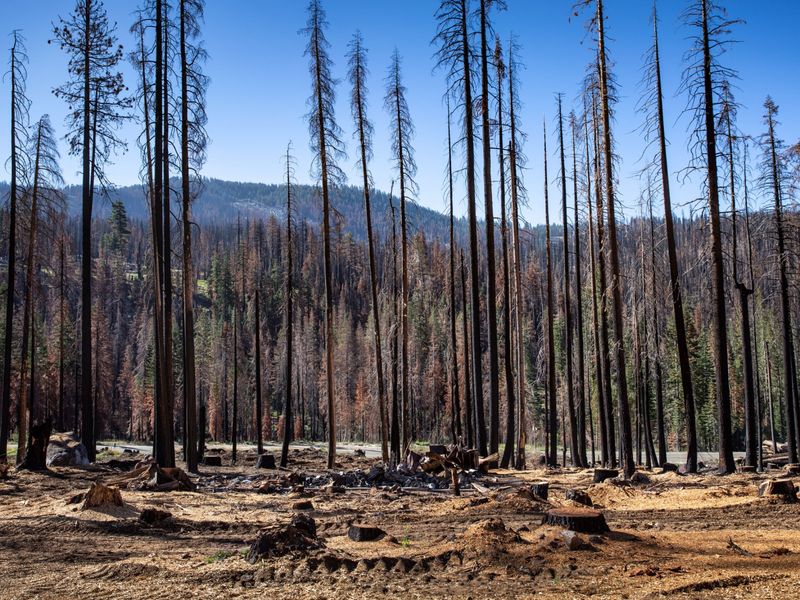 Drought and Water Scarcity