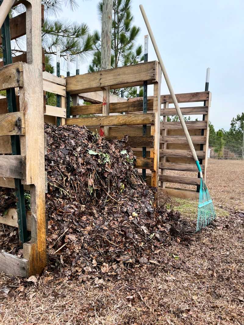 Embrace Chicken Manure