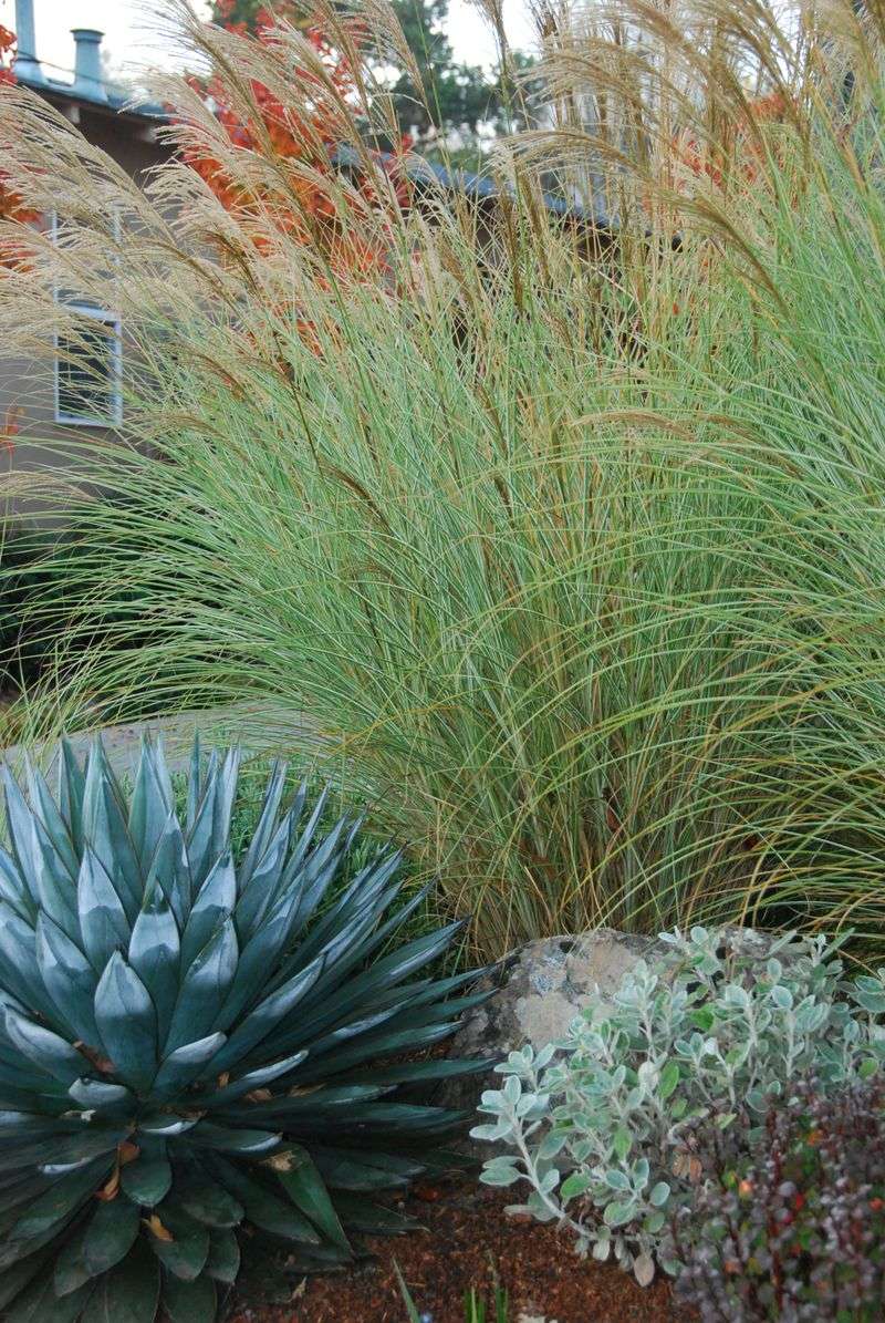 Mix Unusual Flower Shapes and Textures