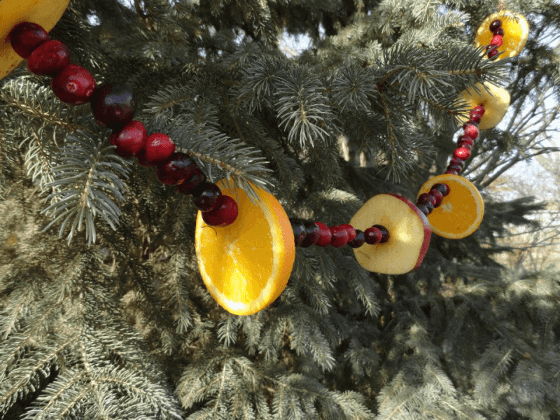 Hang Fruit Garland