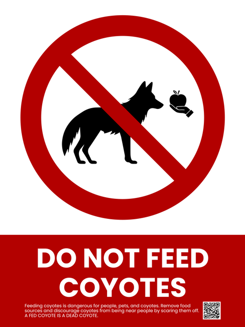 Do Not Feed Coyotes