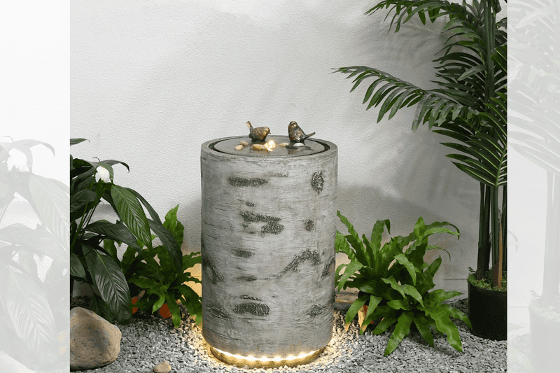 Create a Bird-Safe Environment