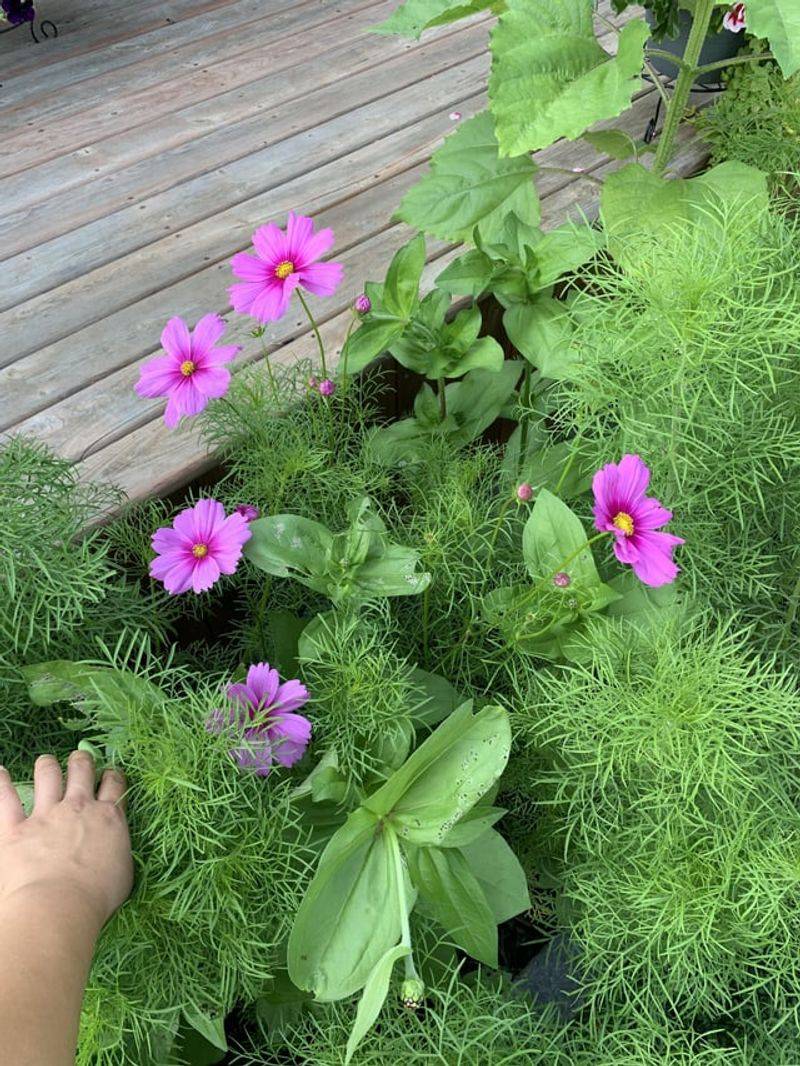 Avoid Over-Fertilizing