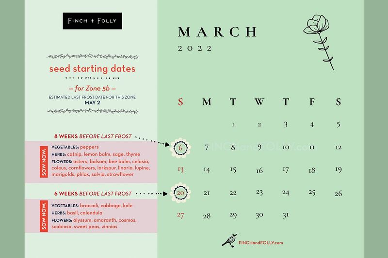Create a Seed Starting Calendar