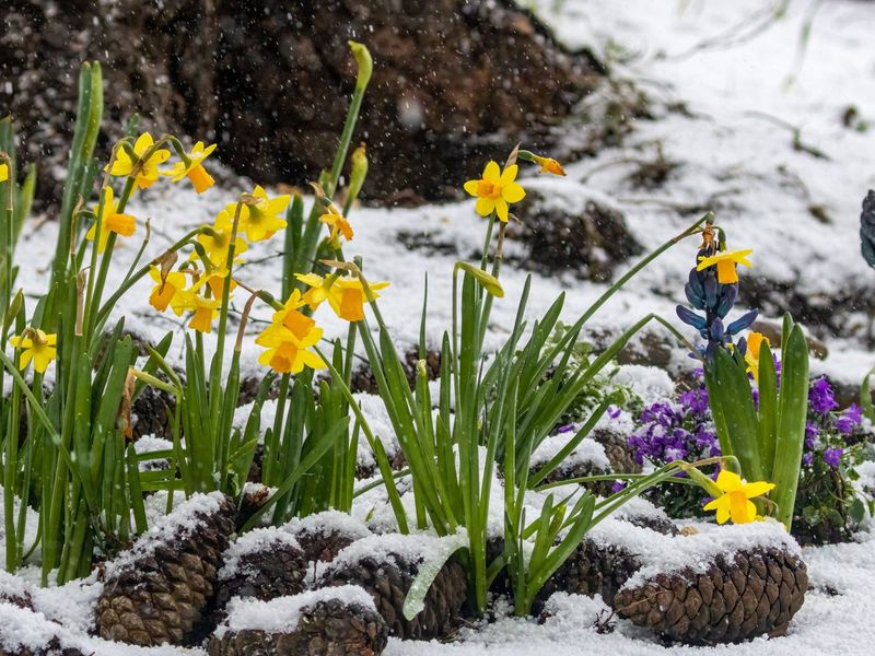 Neglecting Seasonal Changes