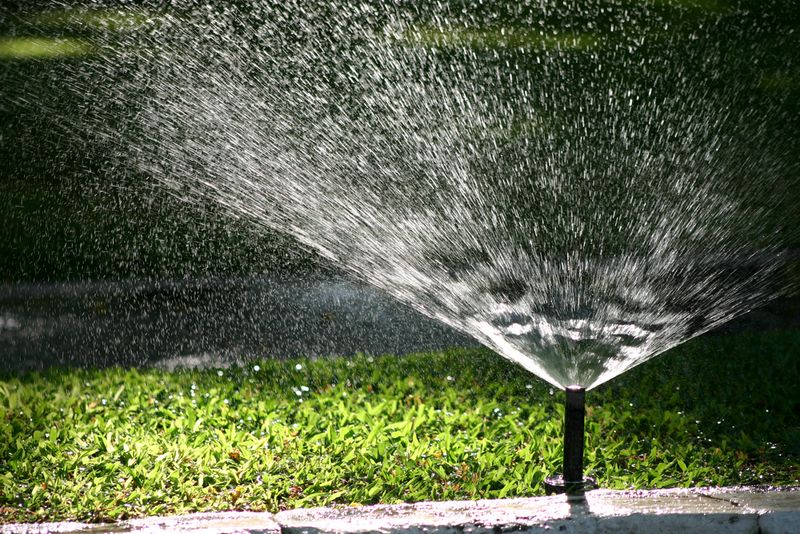 Forgetting to Adjust for Seasons