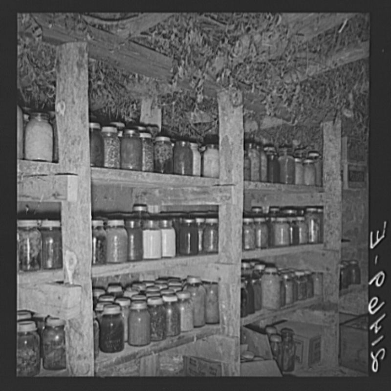 Creating Root Cellars