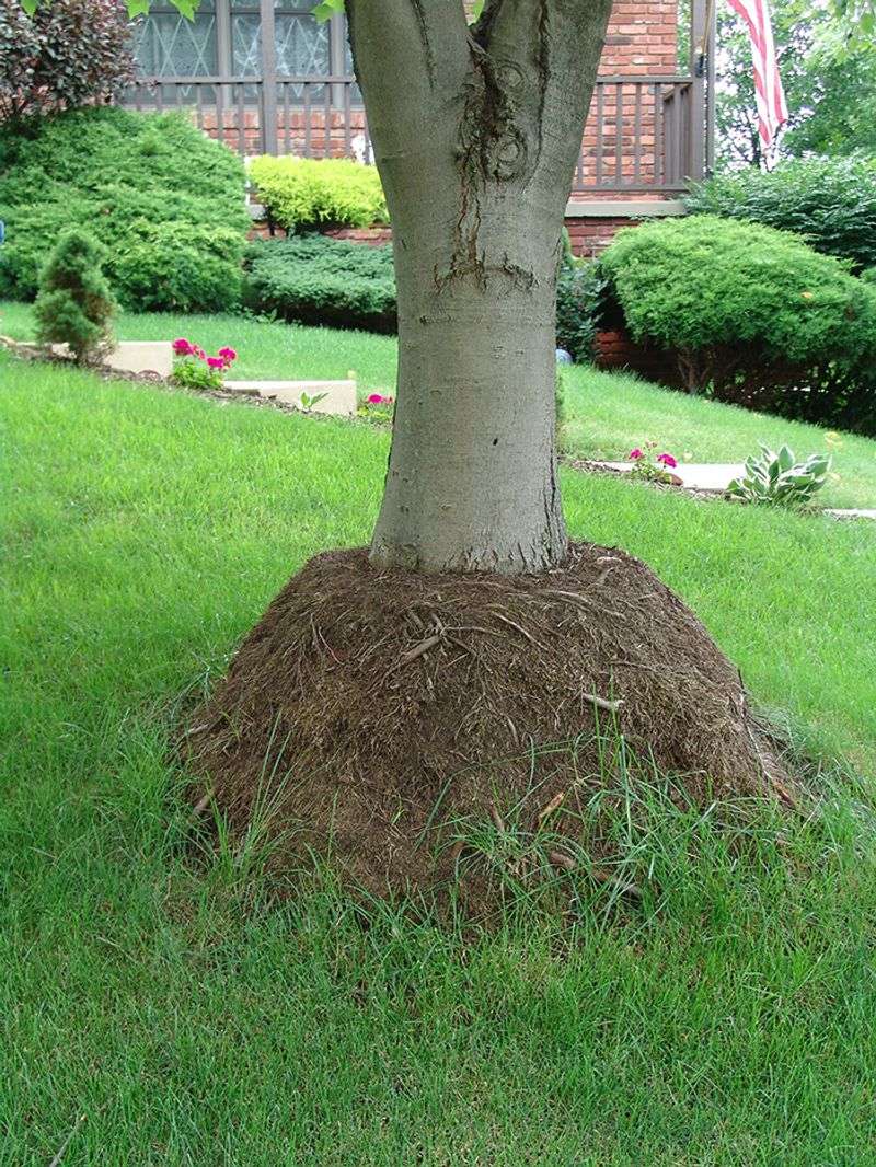 Applying Too Much Mulch at Once