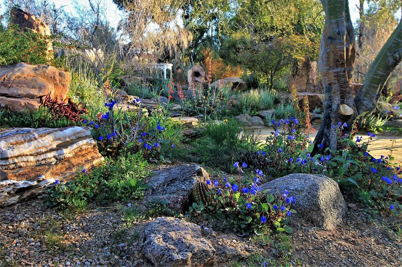 Ignoring Microclimates