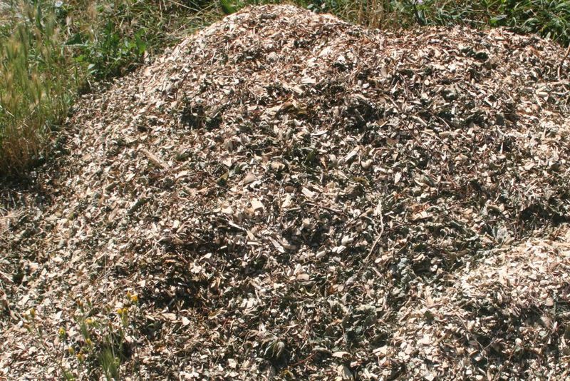 Using Mulch with High Carbon Content
