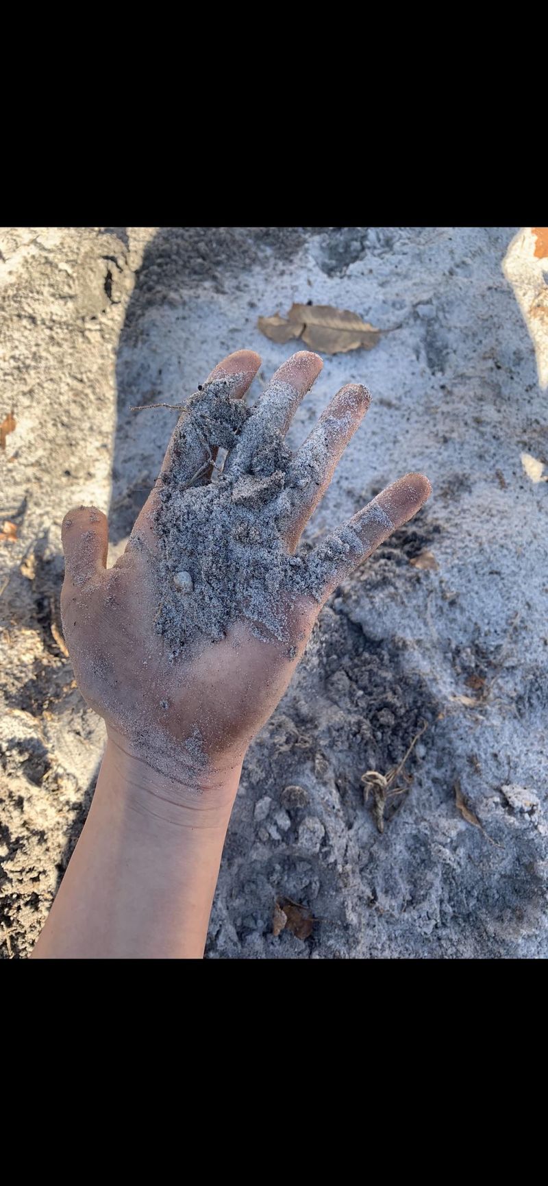 Incorporate Potassium-Rich Wood Ash