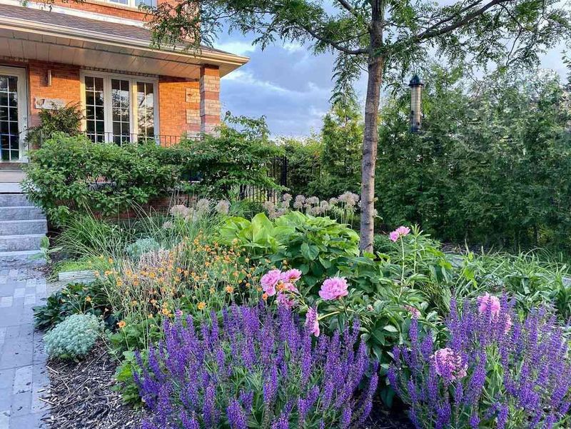 Seasonal Interest Maintains Appeal