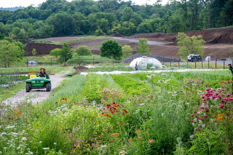 Permaculture Design Certificate (Rodale Institute)