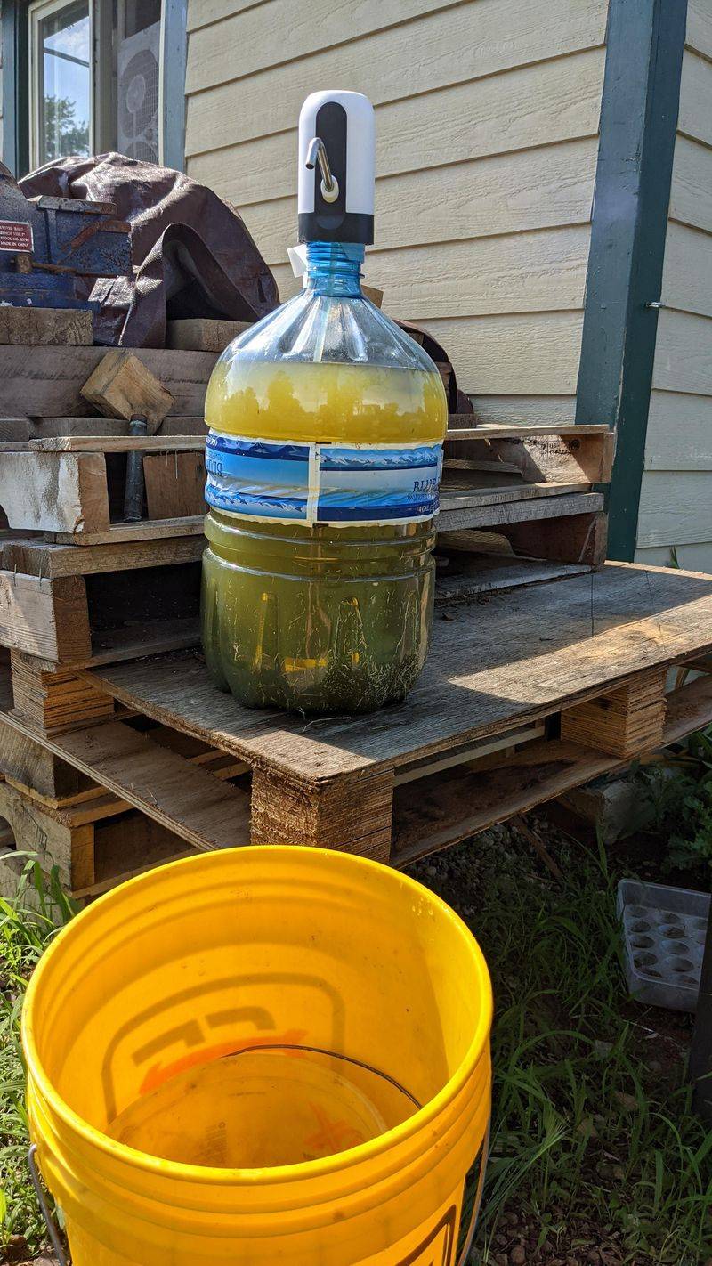 Fermented Plant Juice