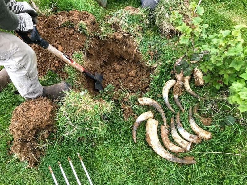 Biodynamic Preparations