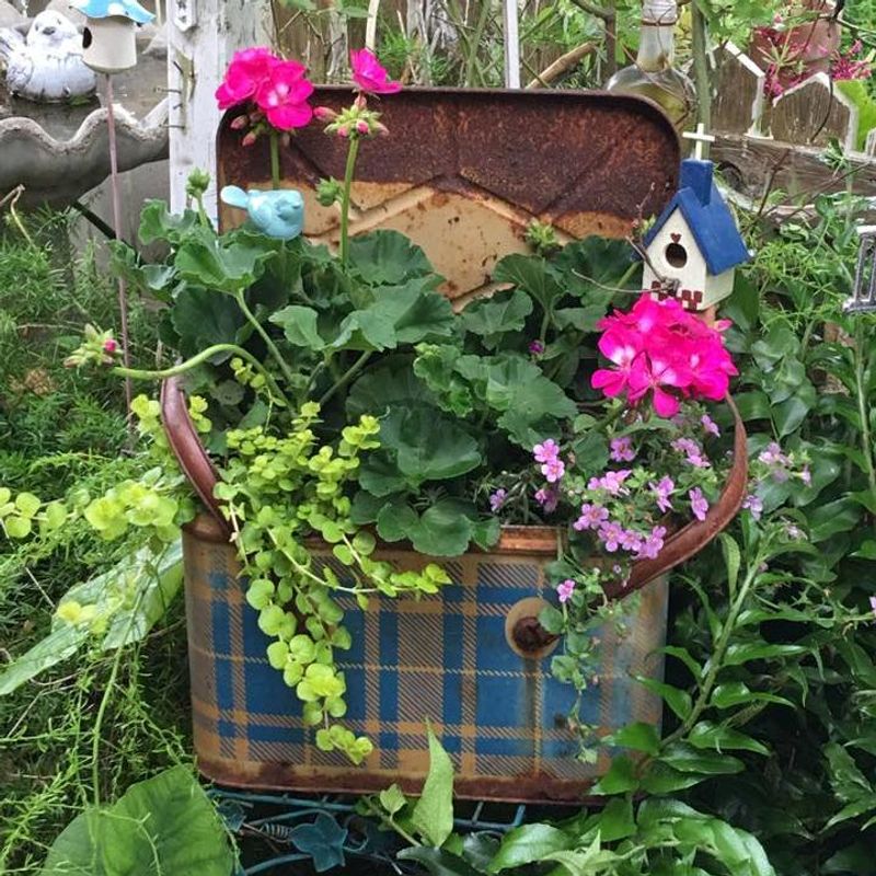Hanging Tea Tin Planters