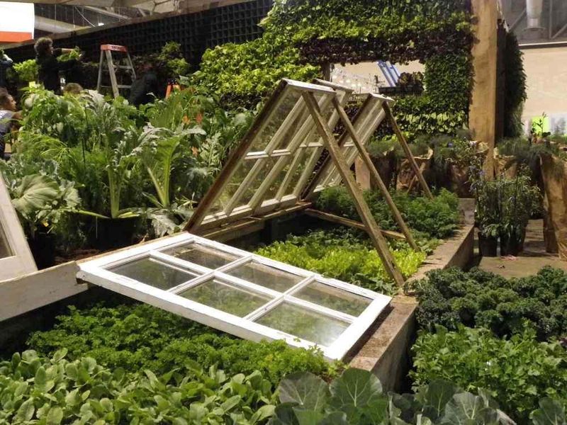 Use of Cold Frames