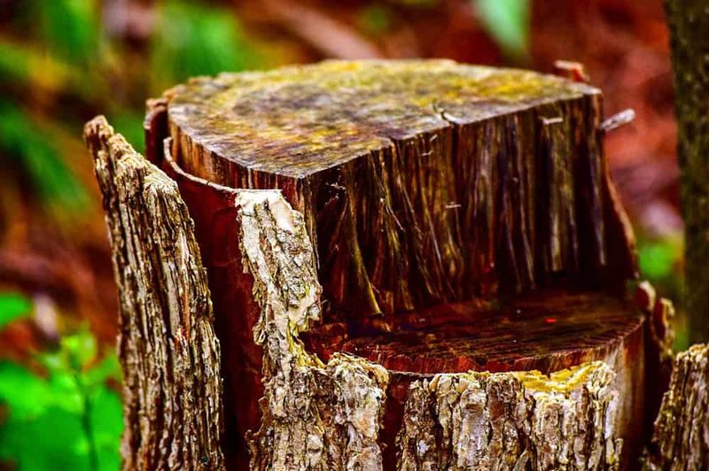 Innovative Bio-Enzyme Solution