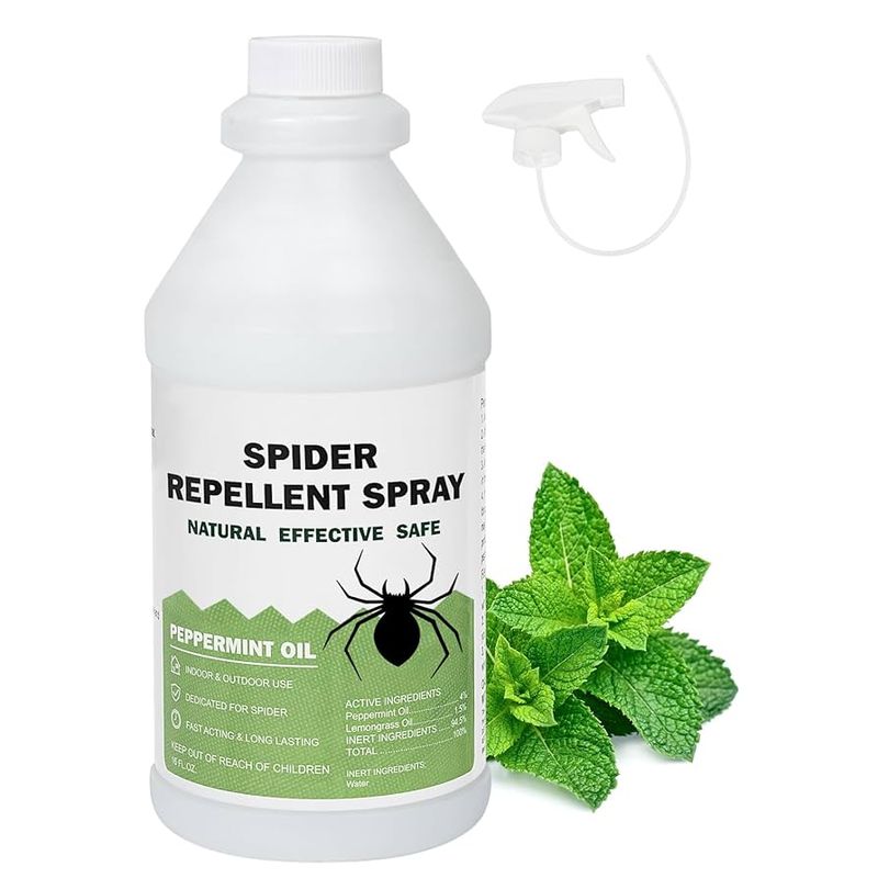 🕷️ Spider & Insect Repellents