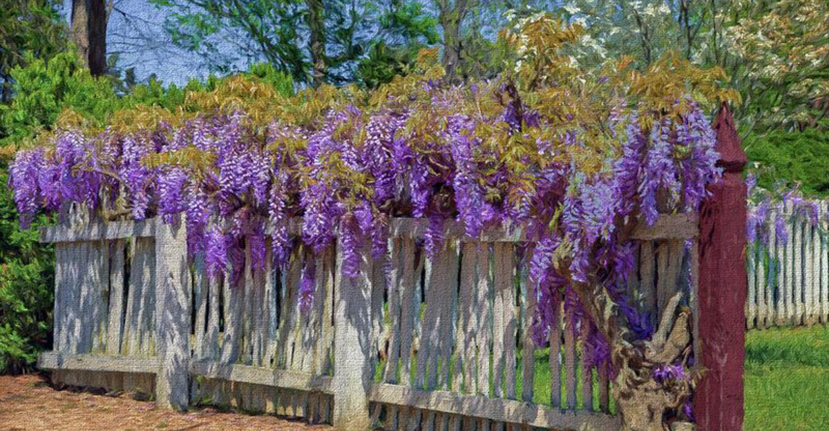 Nevada backyard with flowering native plants like desert marigold and sage, designed for water conservation