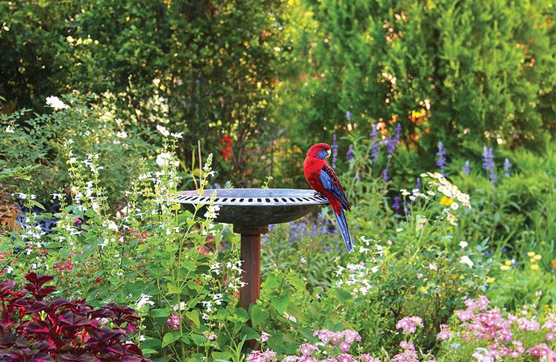 Wildlife-Friendly Habitat