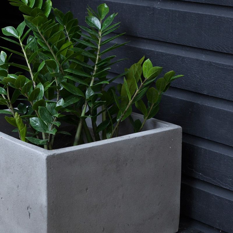 Modern Concrete Planters