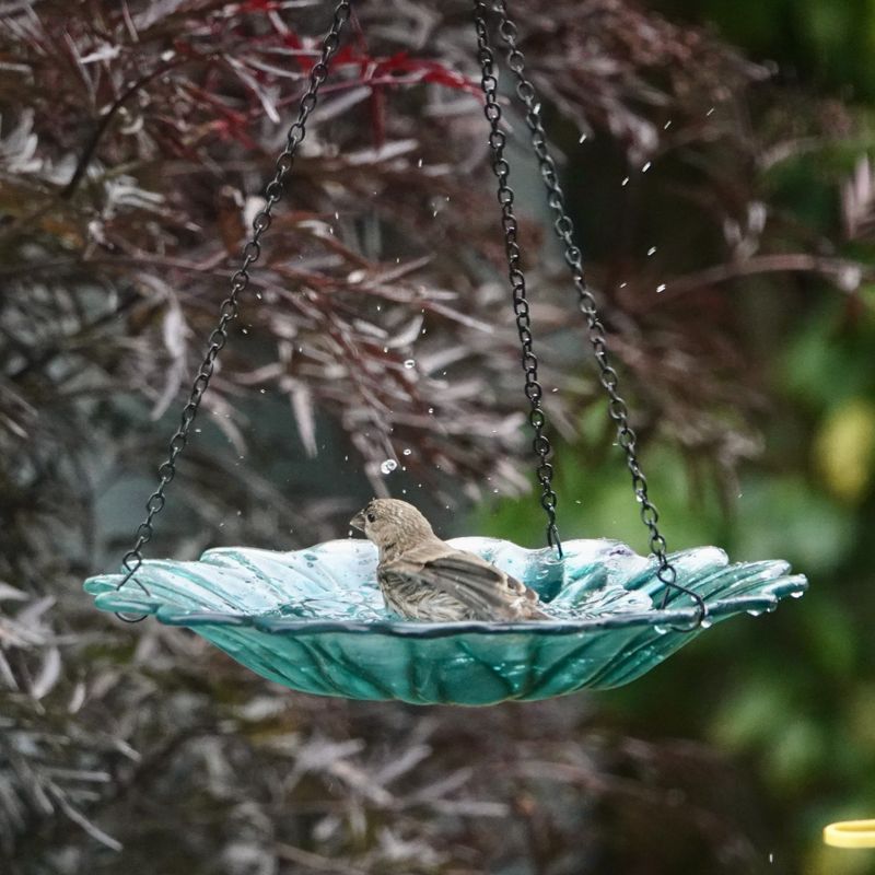 Turquoise Tranquility