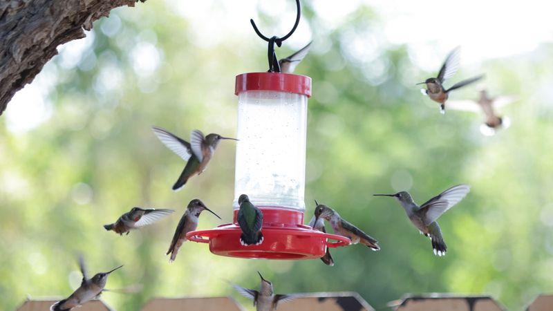 Store Indoors During Extreme Heat