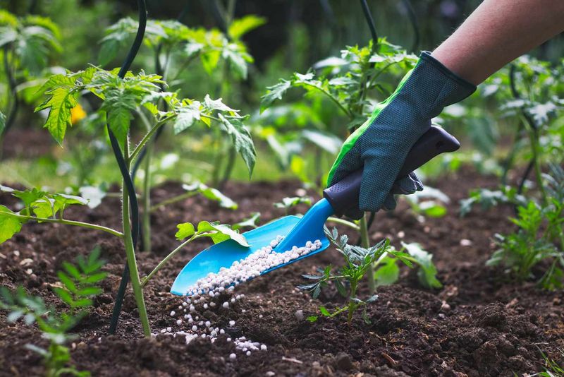 Fertilizing (Even If You Forget) – Weak plants = pests & diseases.