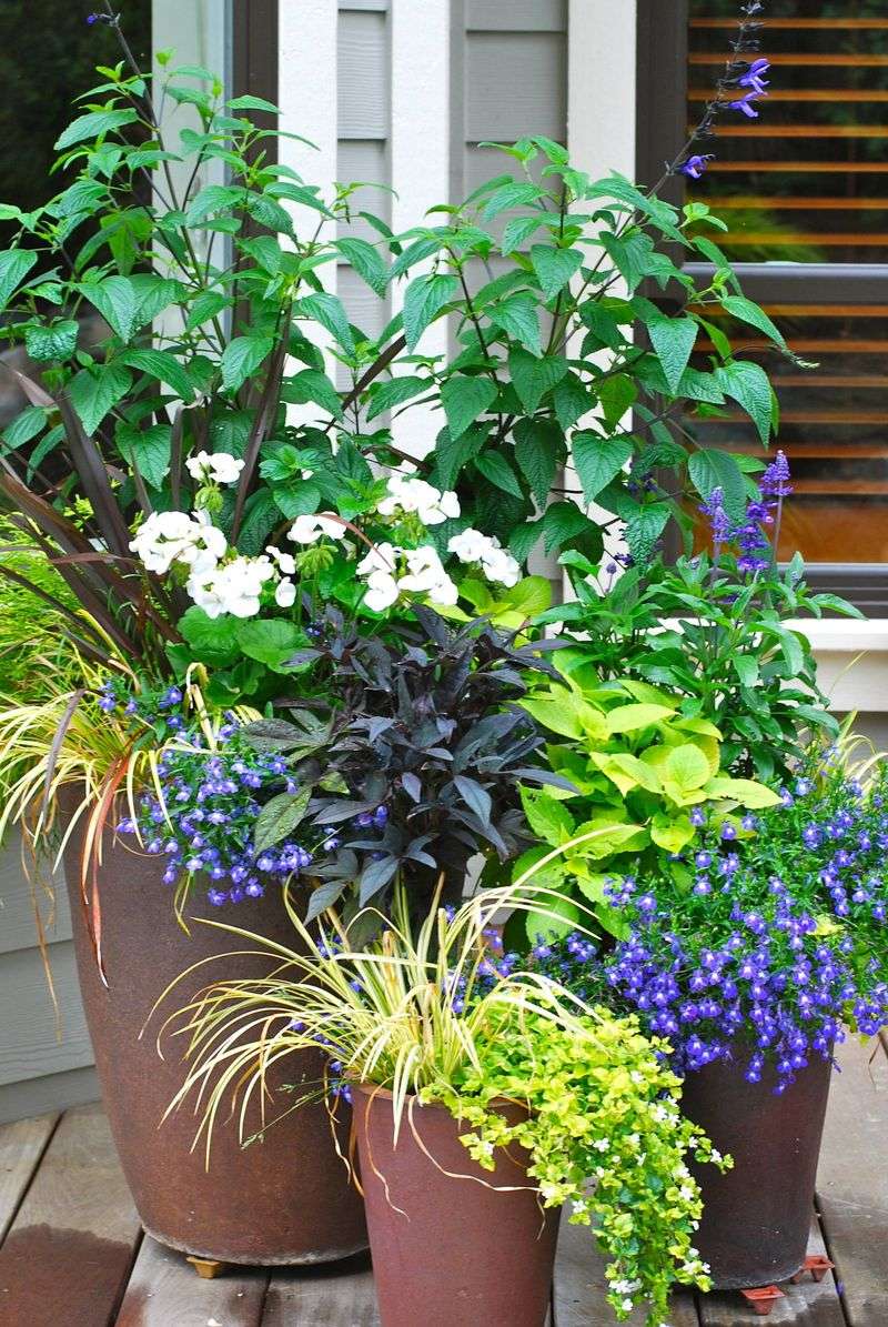 Container Growing Offers Flexibility