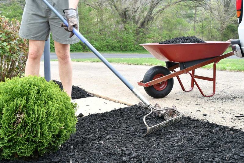 Mulching (The Backbreaking Bulk)