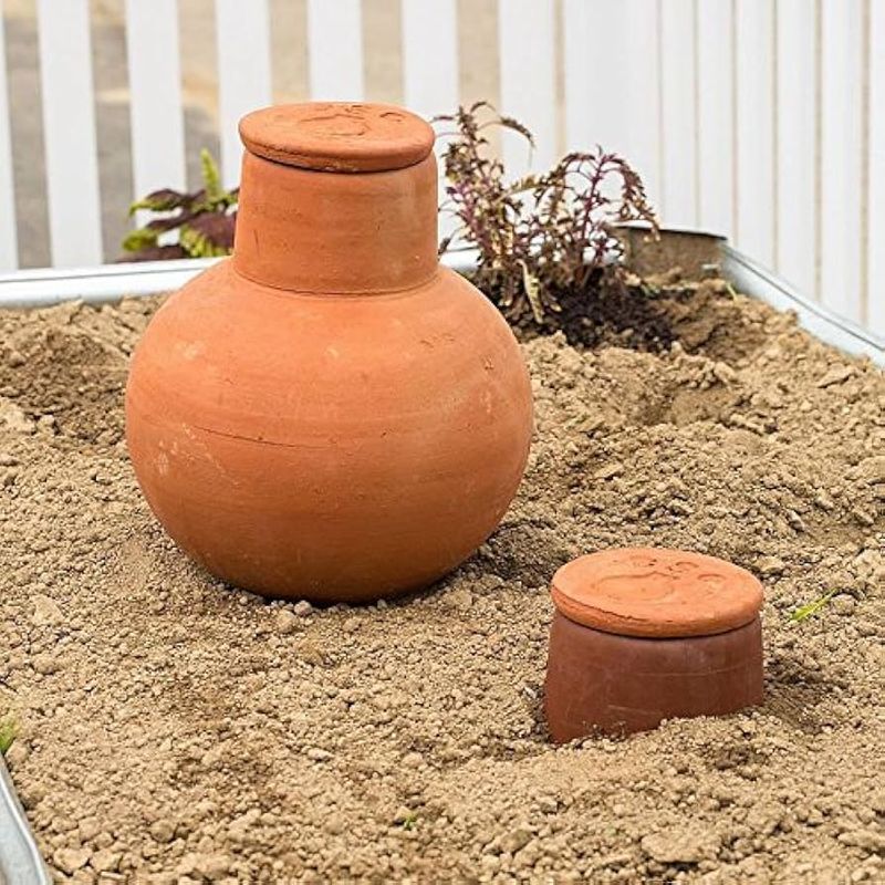 Clay Pot Irrigation (Ollas)