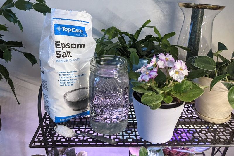 Epsom Salt Boost