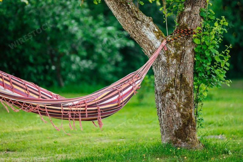 Relaxing Hammocks