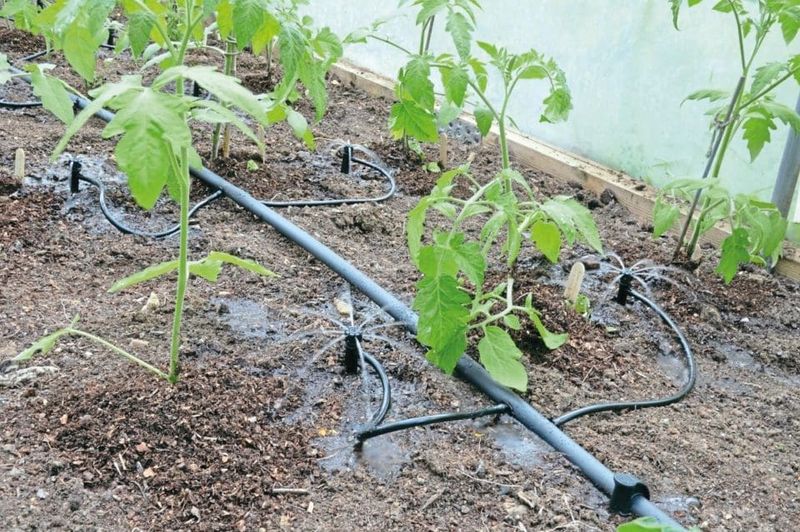 Drip Irrigation System