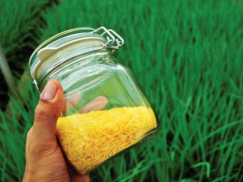 The Case FOR GMOs: Benefits & Safety