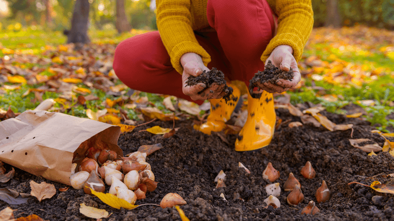 Why Fall Gardening Makes Sense in Pennsylvania