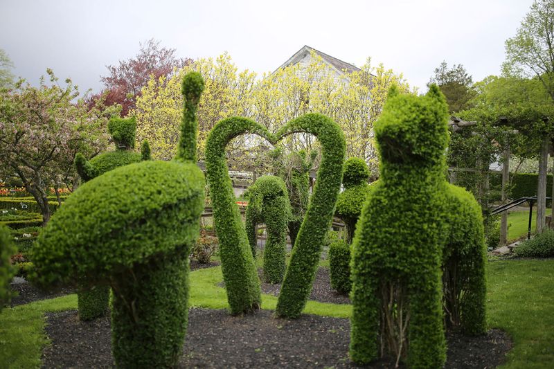 Timeless Topiary Art