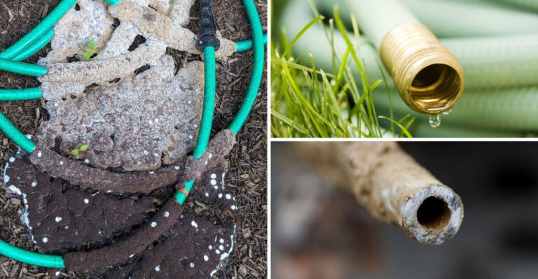 Why Your Garden Hose Might Be Killing Your Plants (And What to Use Instead)