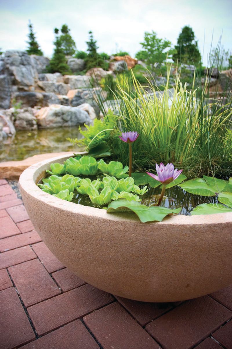 Container Water Garden