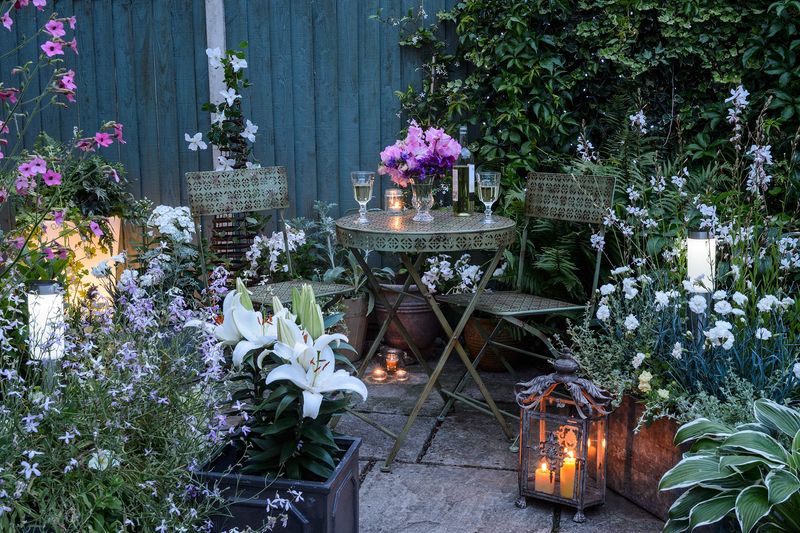 Night Garden Delight