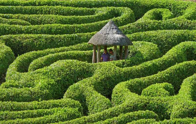 Hedge Labyrinths