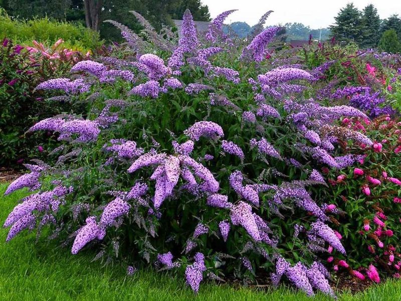 Soil Drainage Prevents Root Problems