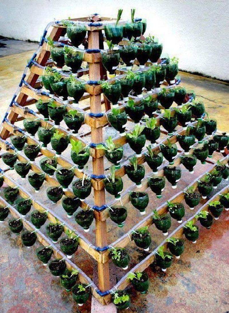 Plastic Bottle Vertical Garden